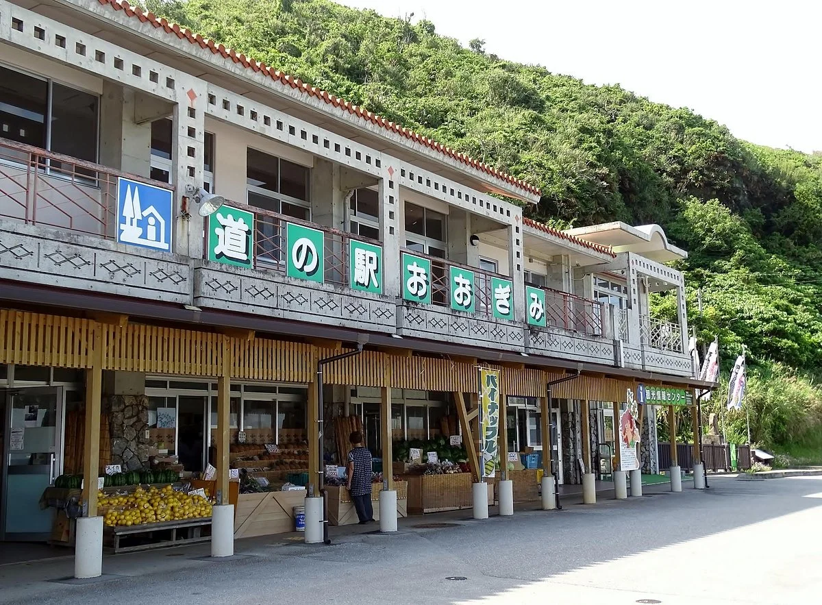 Michi no Eki Ogimi