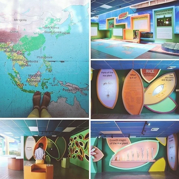 IRRI Riceworld Museum