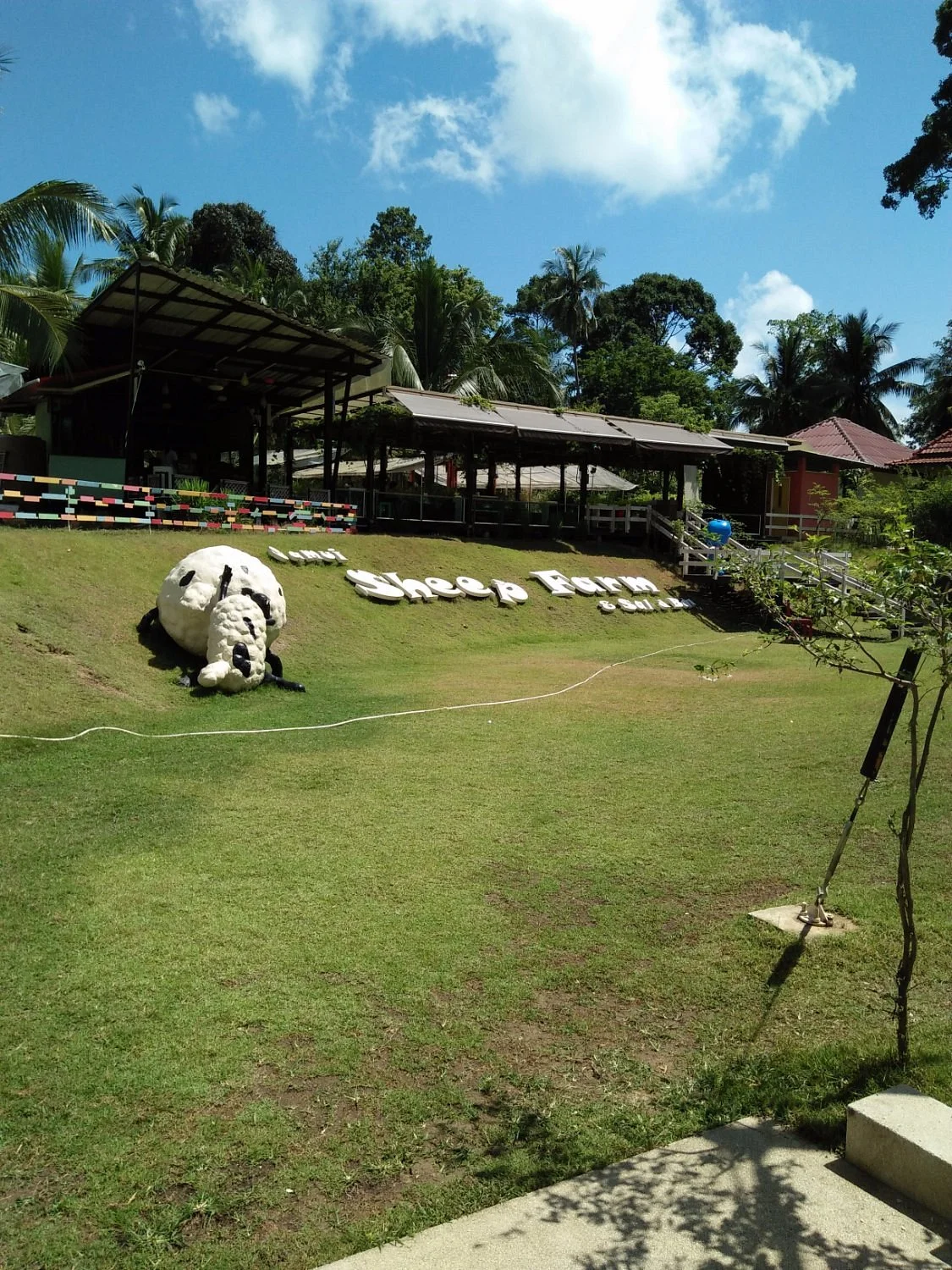 Samui Sheep Farm & Salad Bar