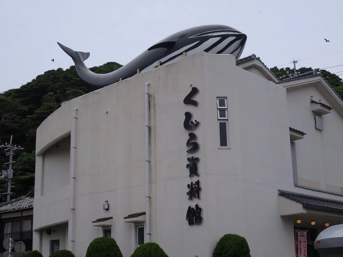 Whale Museum