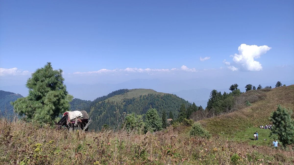 Miranjani