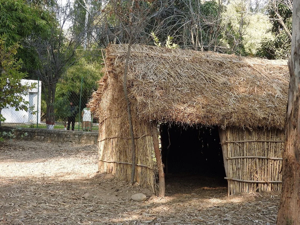 Nepli Reserve Forest