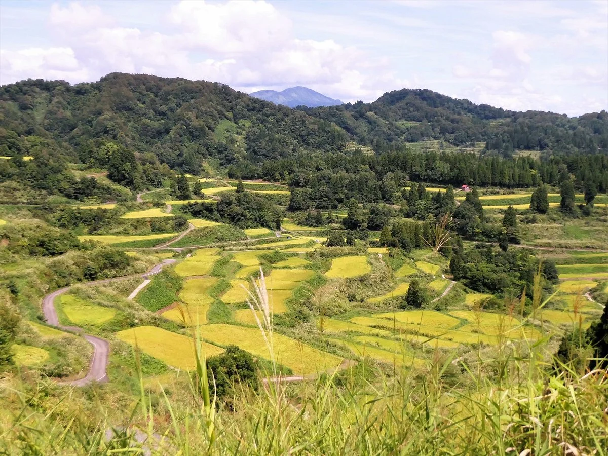 Hoshitoge Rice Terraces