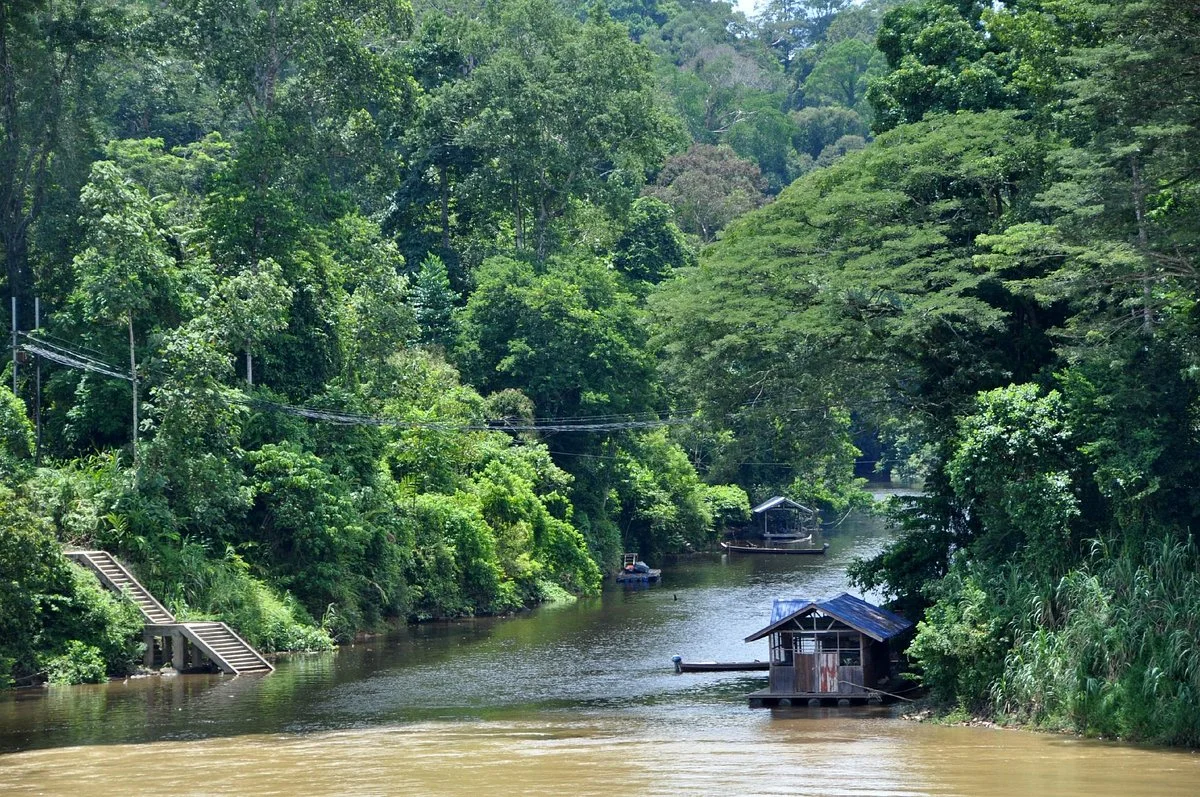 Taman Negara National Park