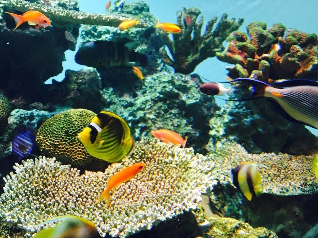 Tokyo Sea Life Park