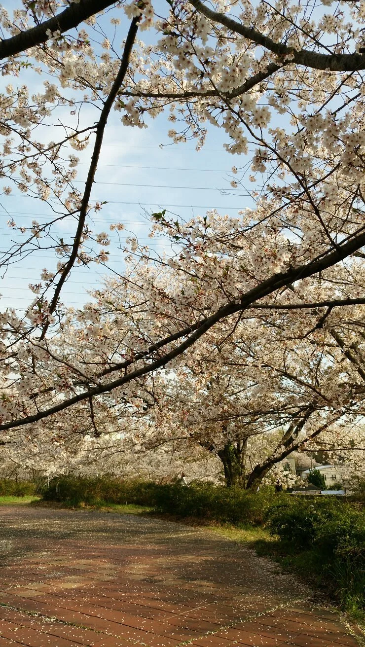 Odaka Green