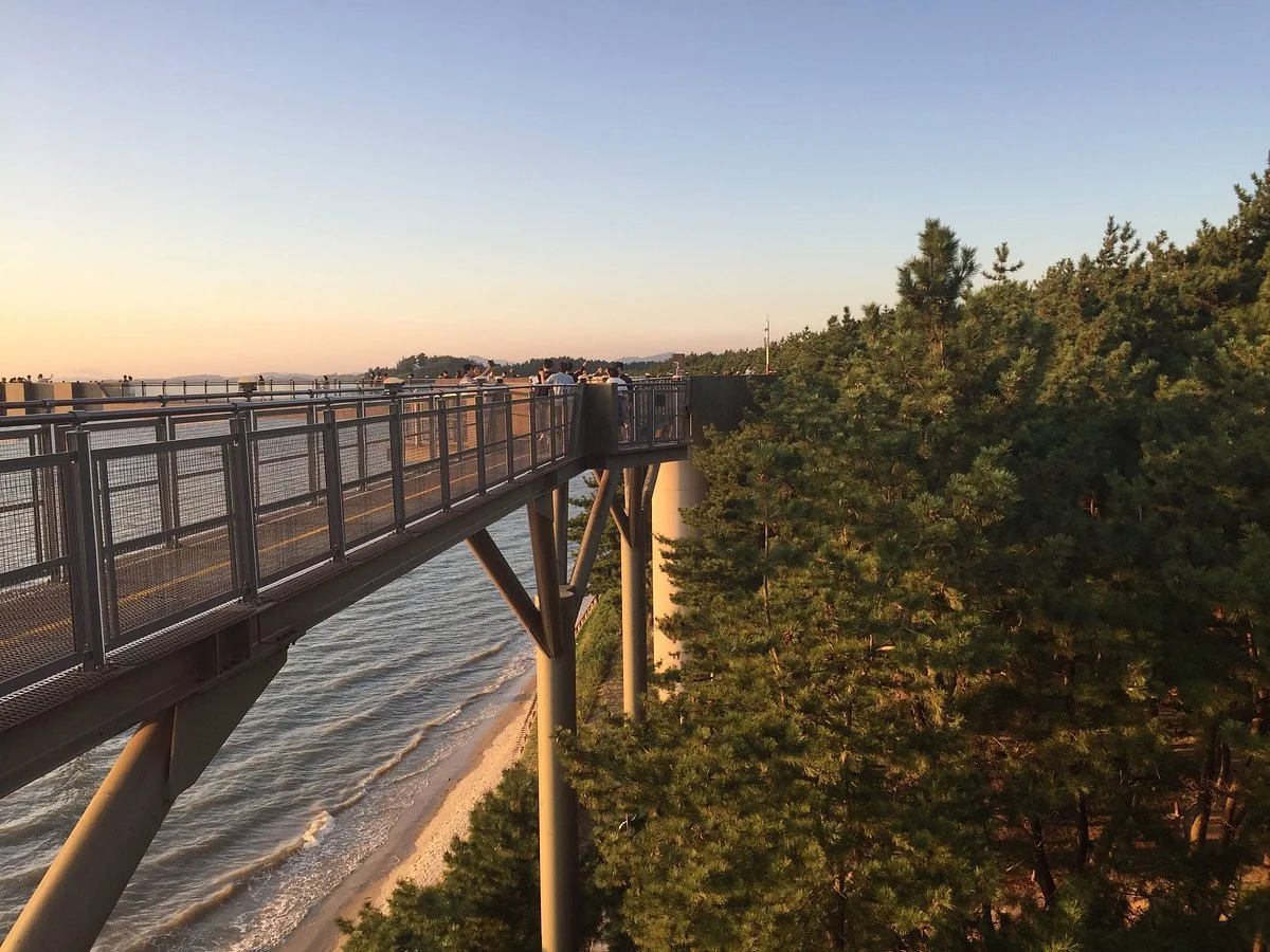 Janghang Skywalk