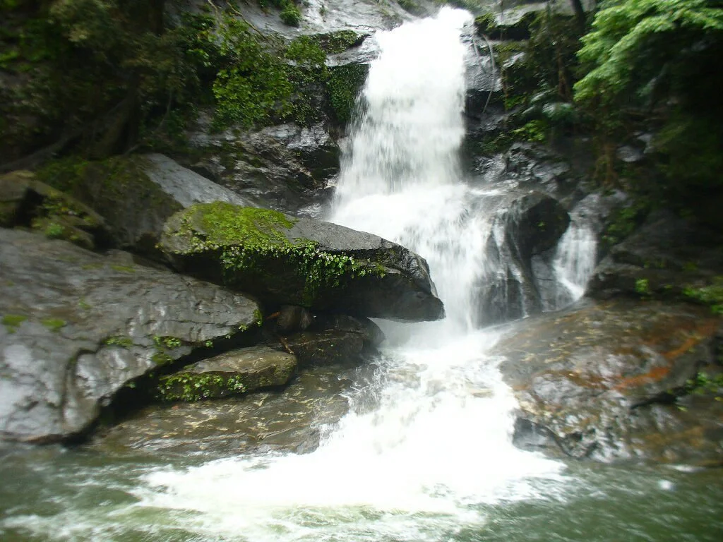 Meenvallam Water Falls