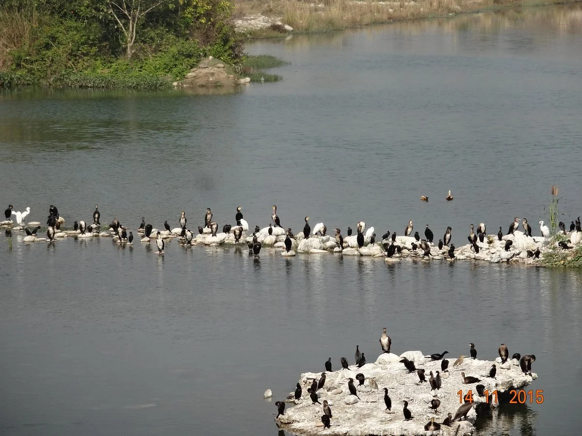 Ramganga Dam
