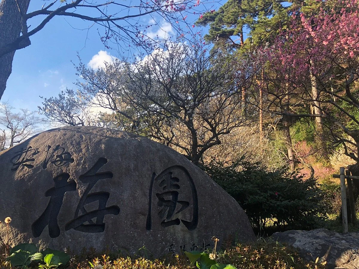 Atami Baien Ume Blossom Festival