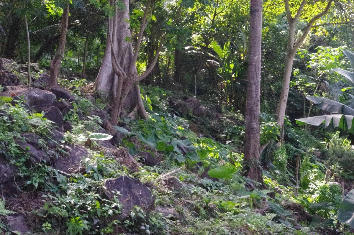 Carasacos Falls