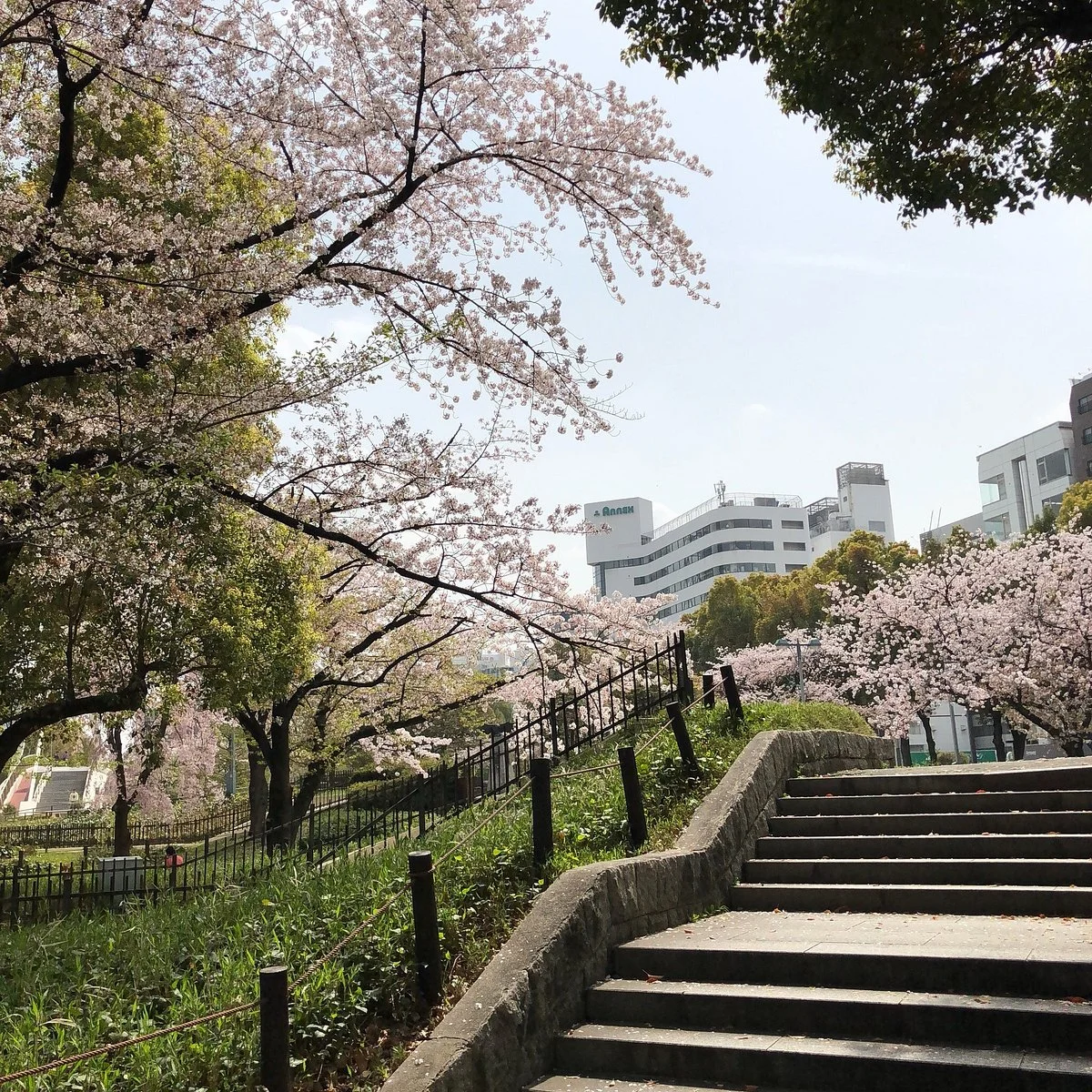 Central Park