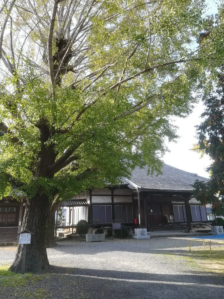 Zyousyuin Temple