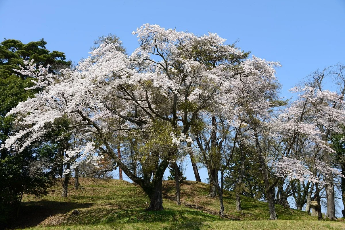 Raijin Yamakofun