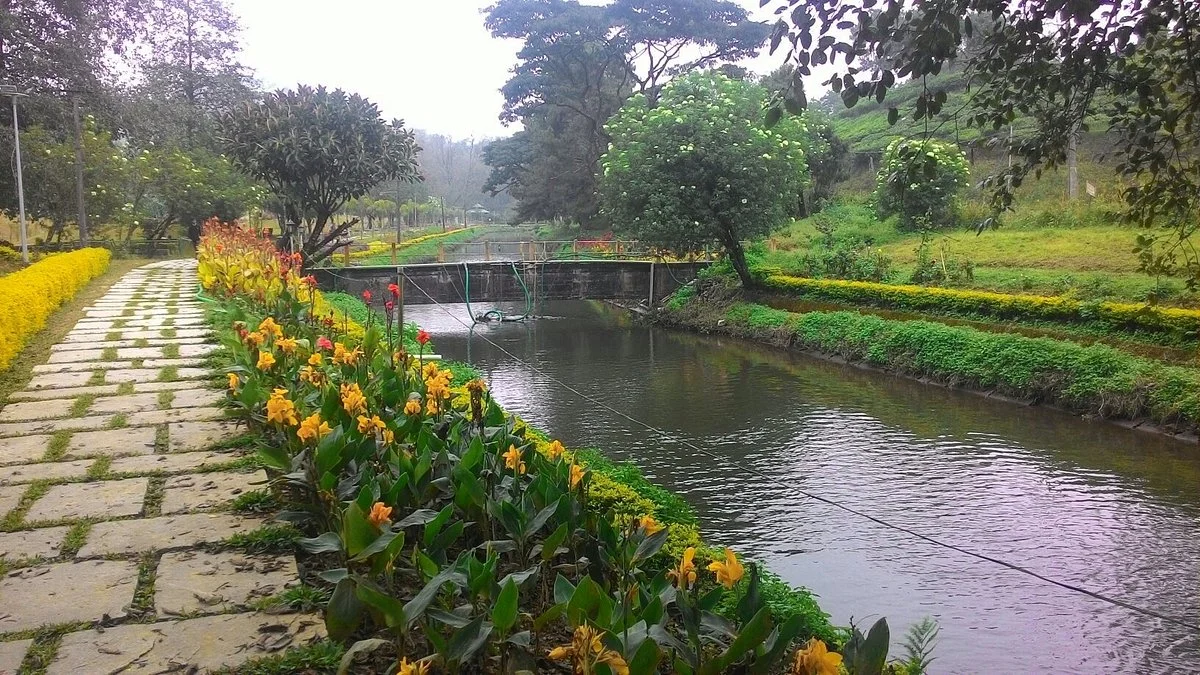 Blossom Hydel Park