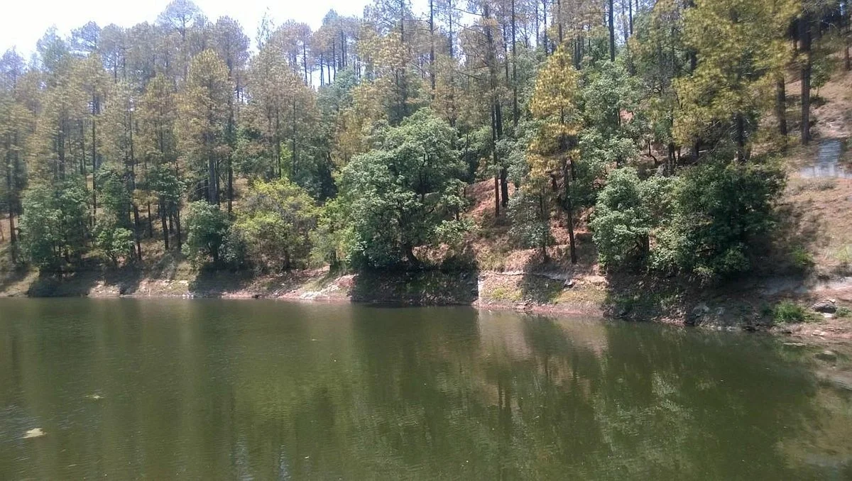 Bhalu Dam