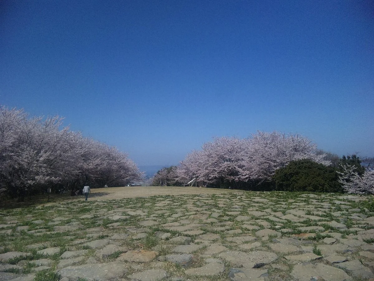 Aonoyama