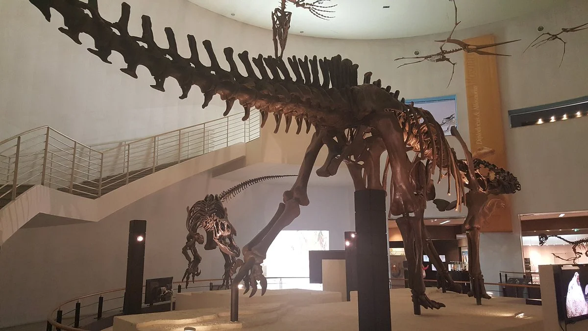 Mokpo Natural History Museum