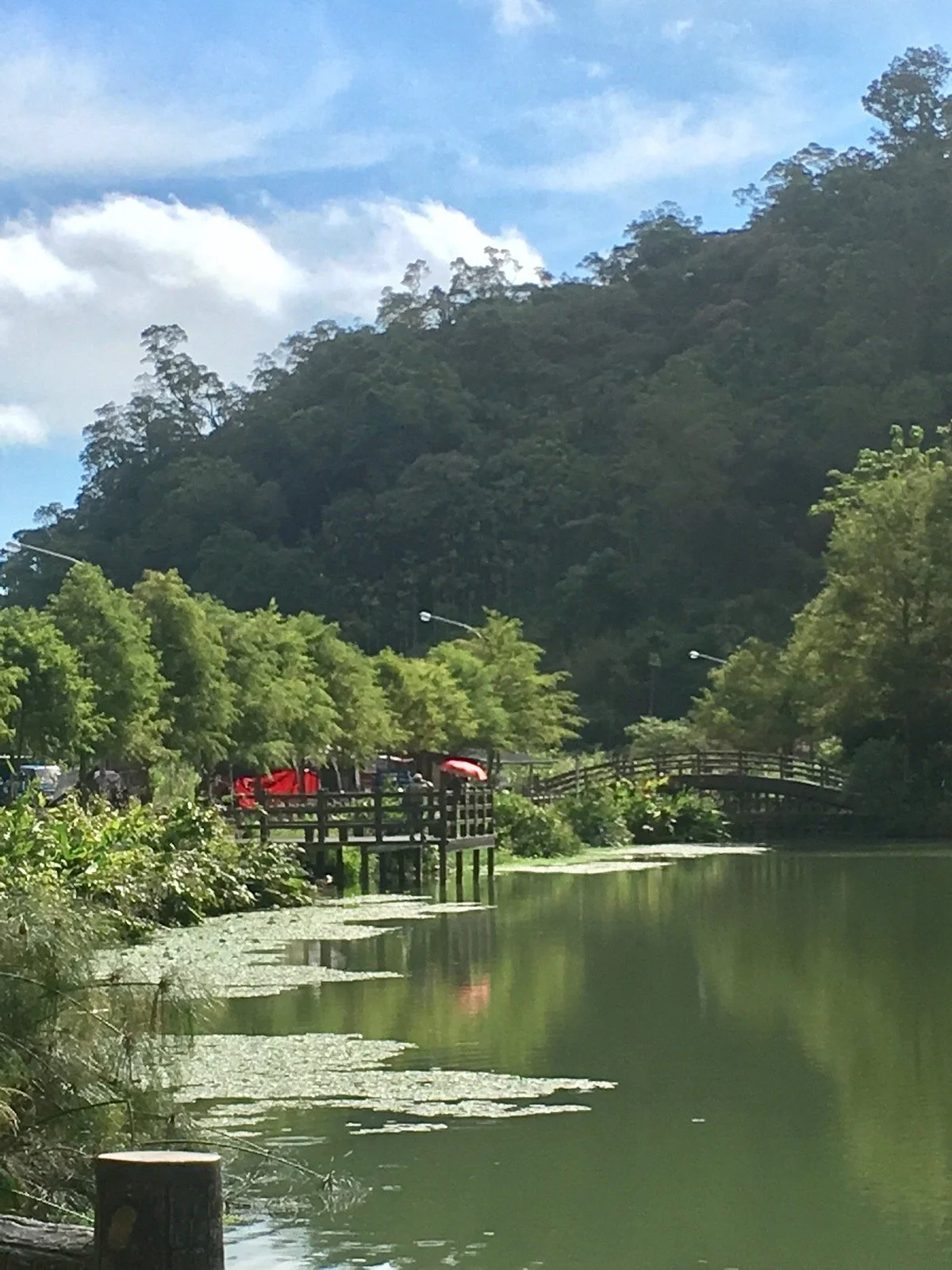 Wang Long Bi