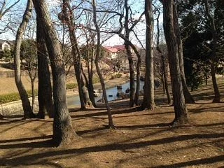 Kinunodaisakura Park