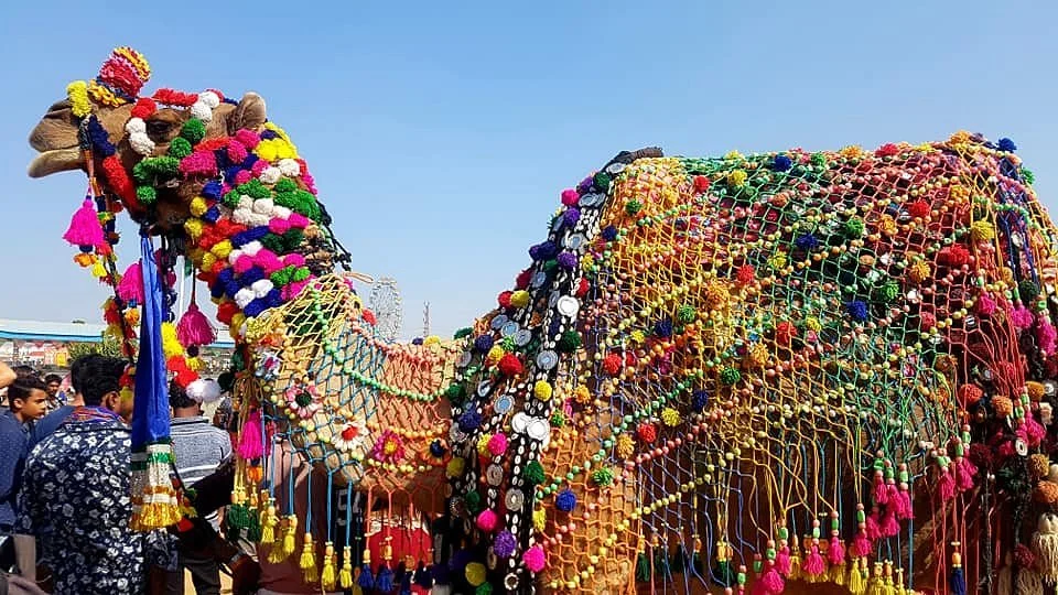 Pushkar Camel Fair