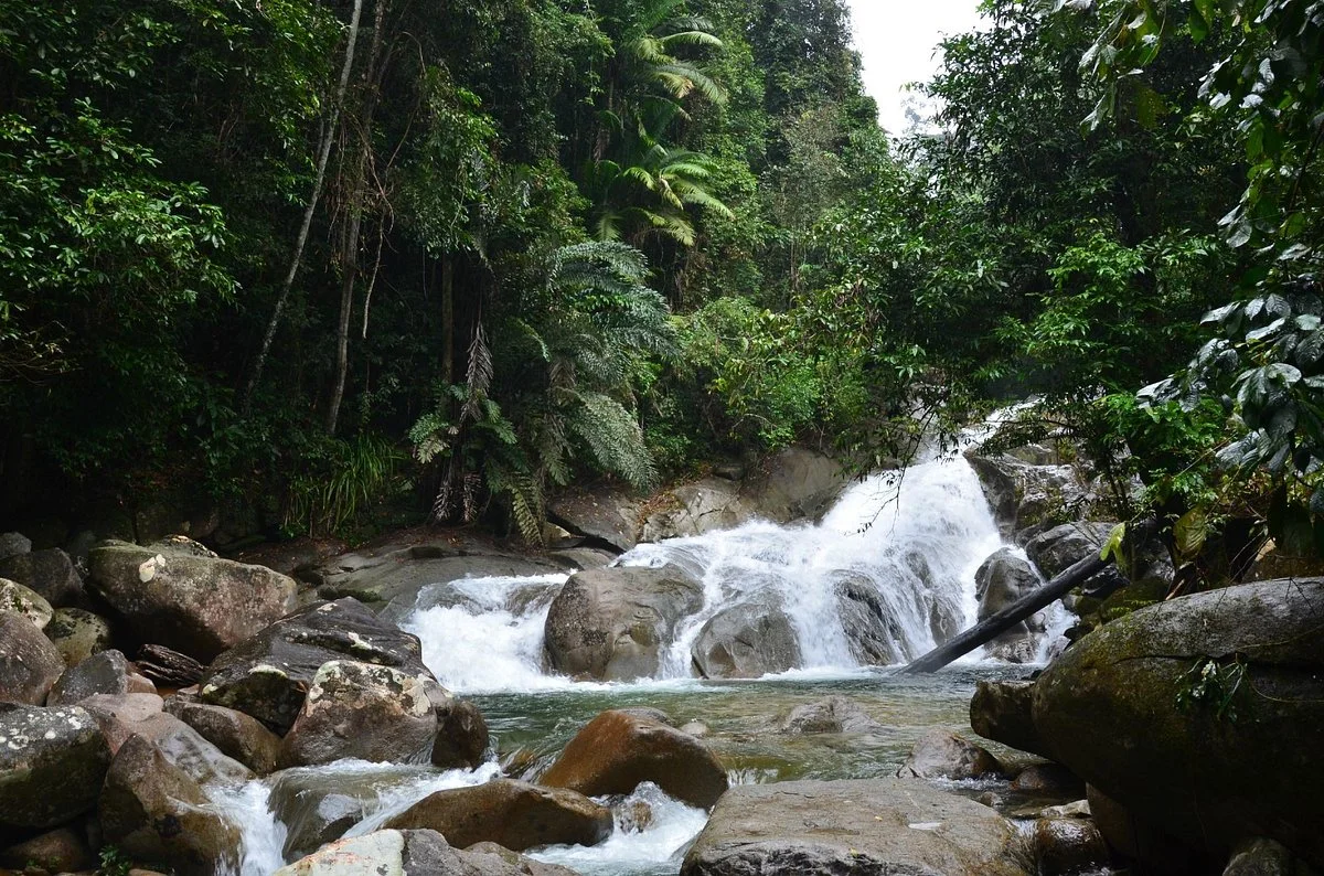 Gunung Gading National Park