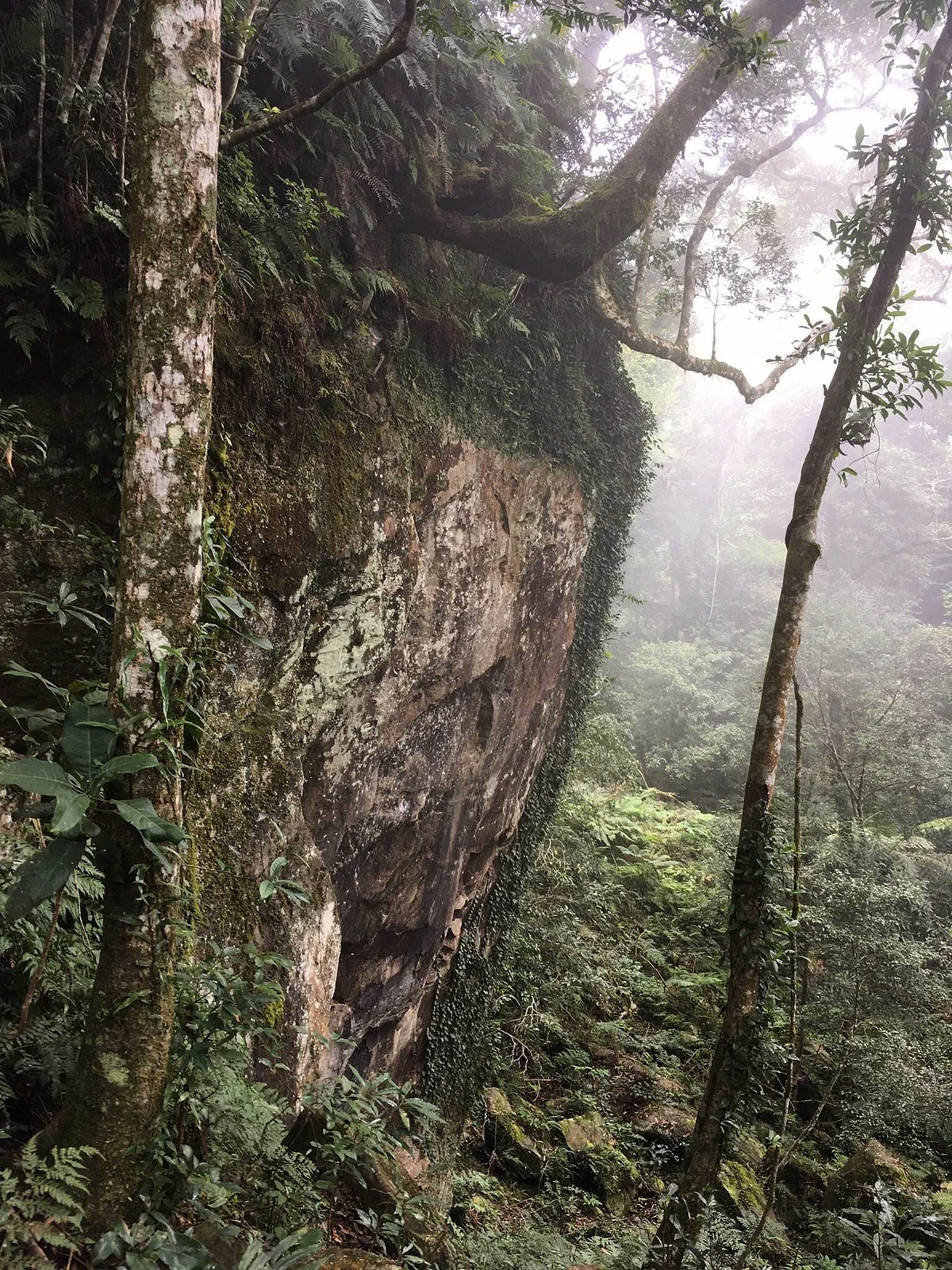 Egongji Shan