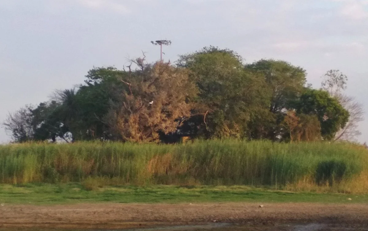 Takia Island