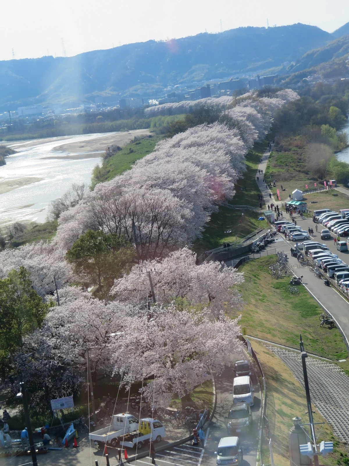 Sakuradeaikan