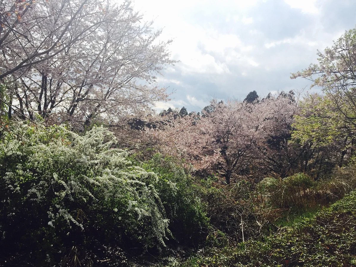 Chieko no Mori Park