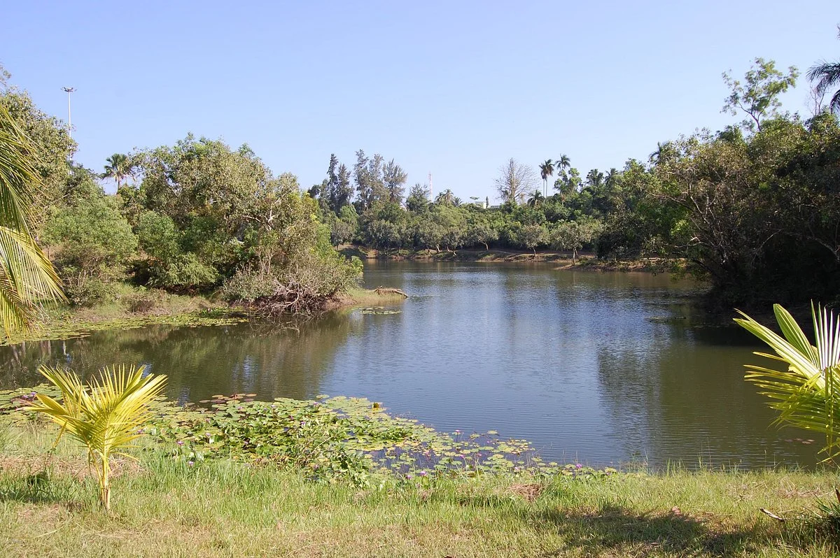 Gandhi Park