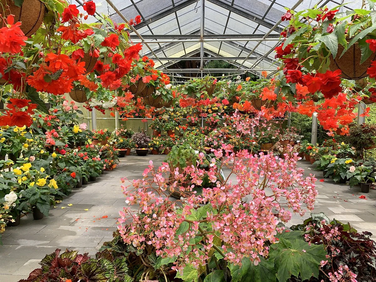 Taiwan University Meifeng Farm