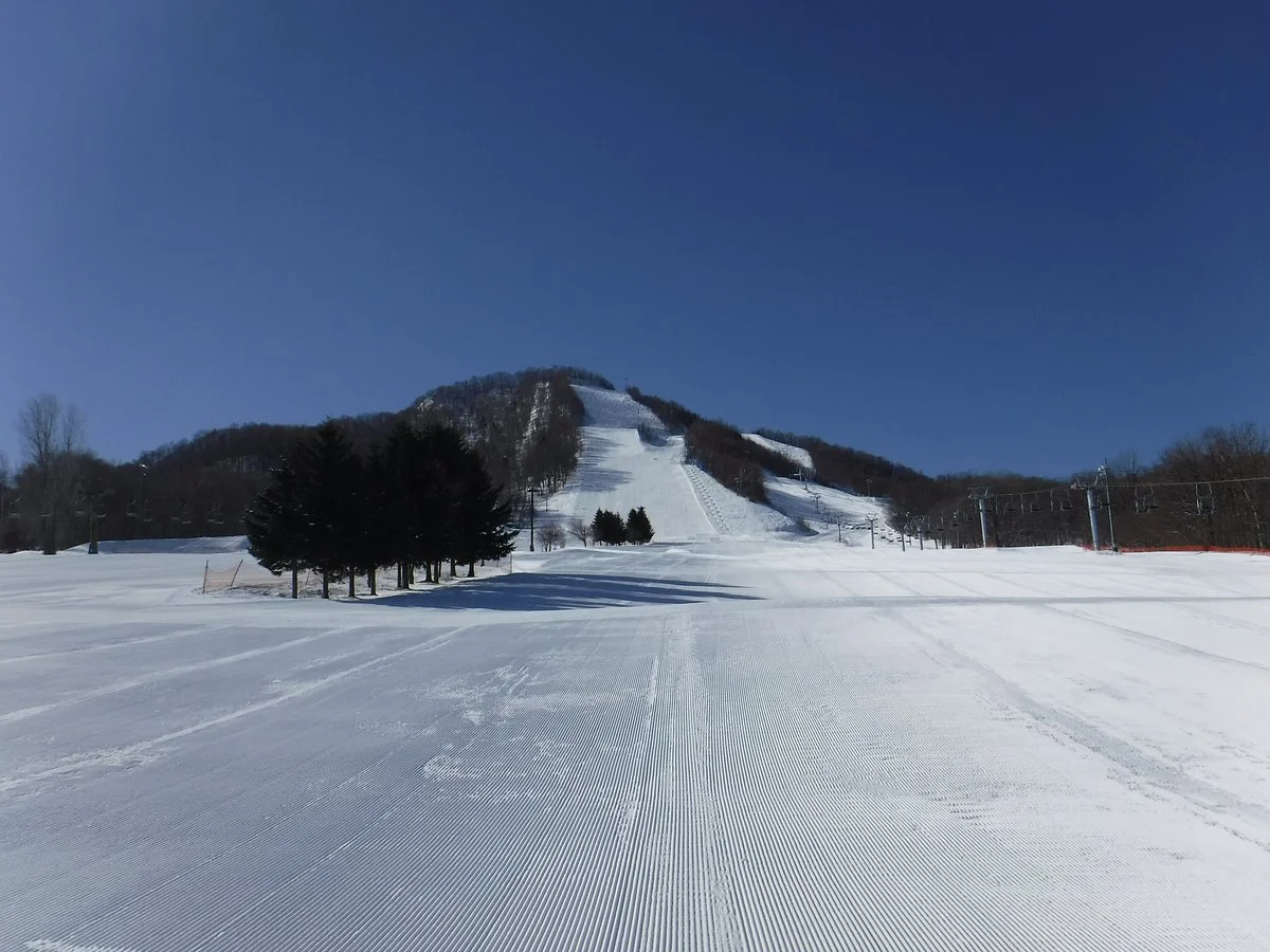 Fu's snow area