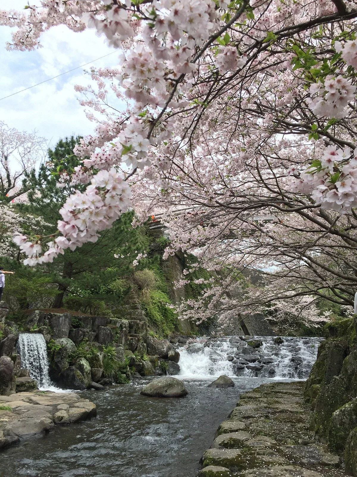 Tachibana Park