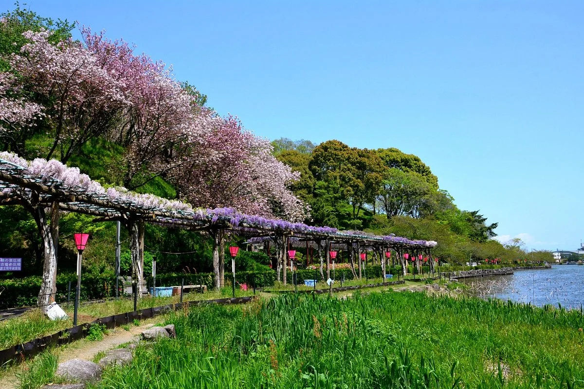 Rengejiike Park