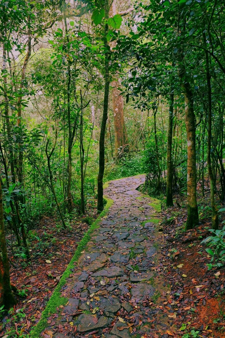 Galway's Land National Park