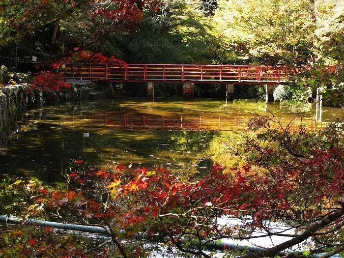 Iwayado Park
