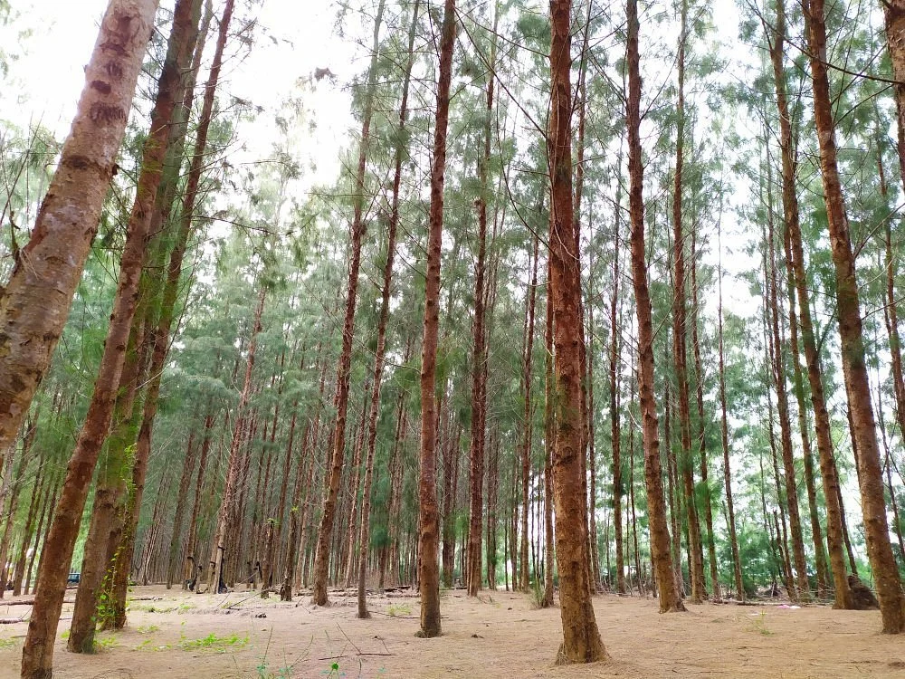 Pantai Kundur