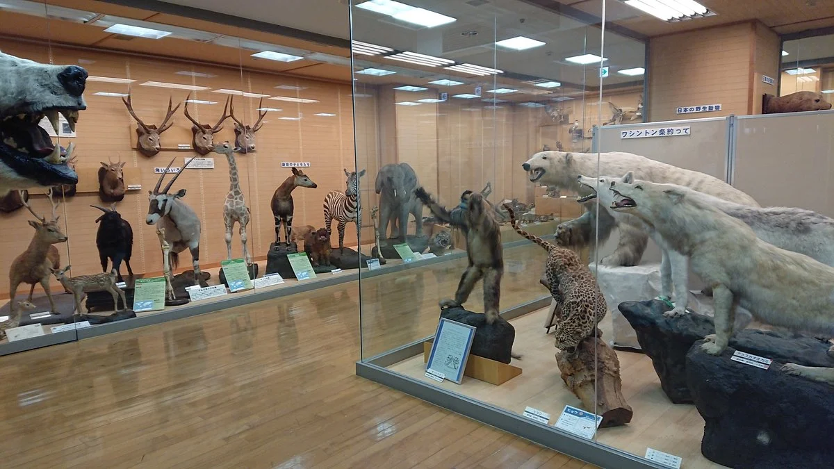 Kishiwada Nature Musium
