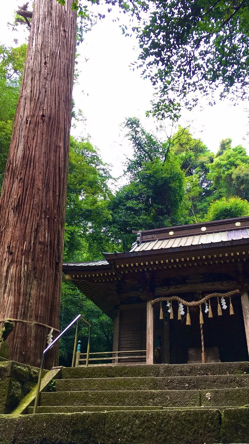 Hachimangukinomiya Shrine