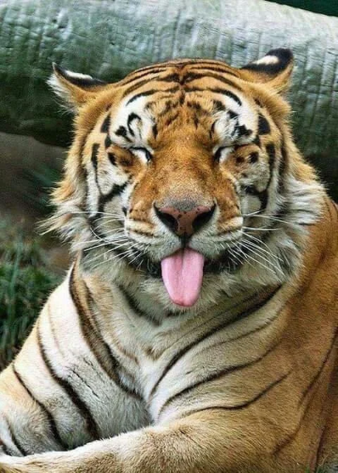 Seruling Mas Wildlife Park