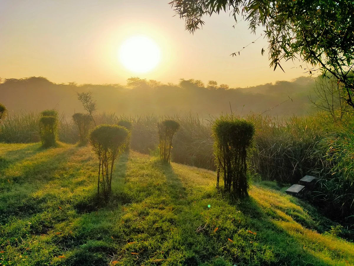 Sanjay Van