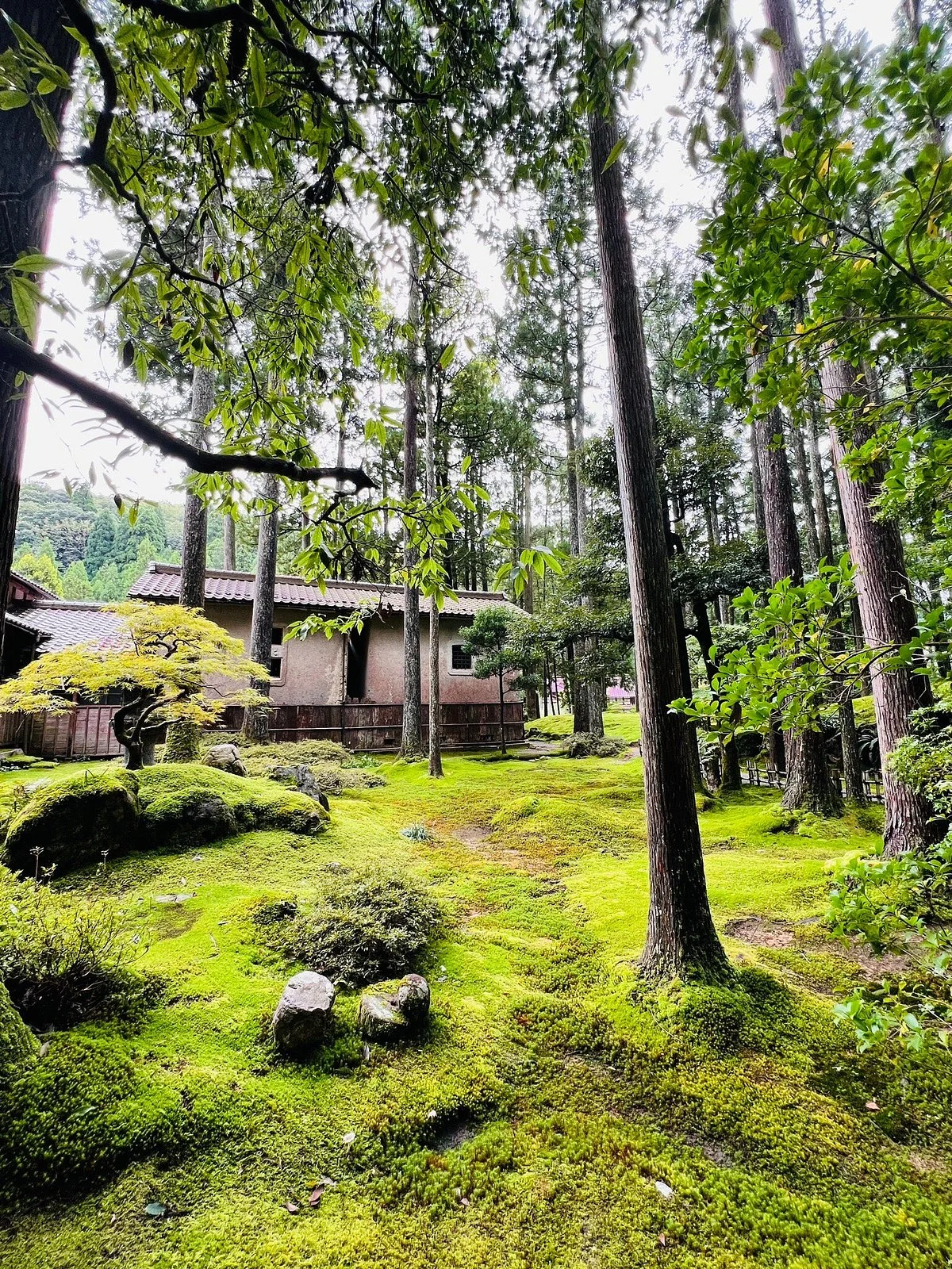 Koke no Sato