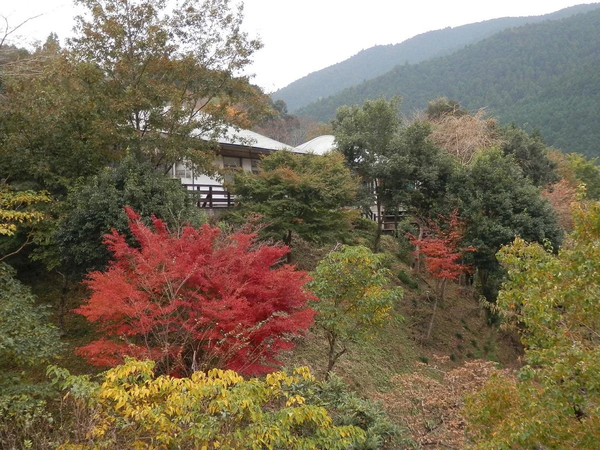 Shimanto Taisho Michi-no-Eki