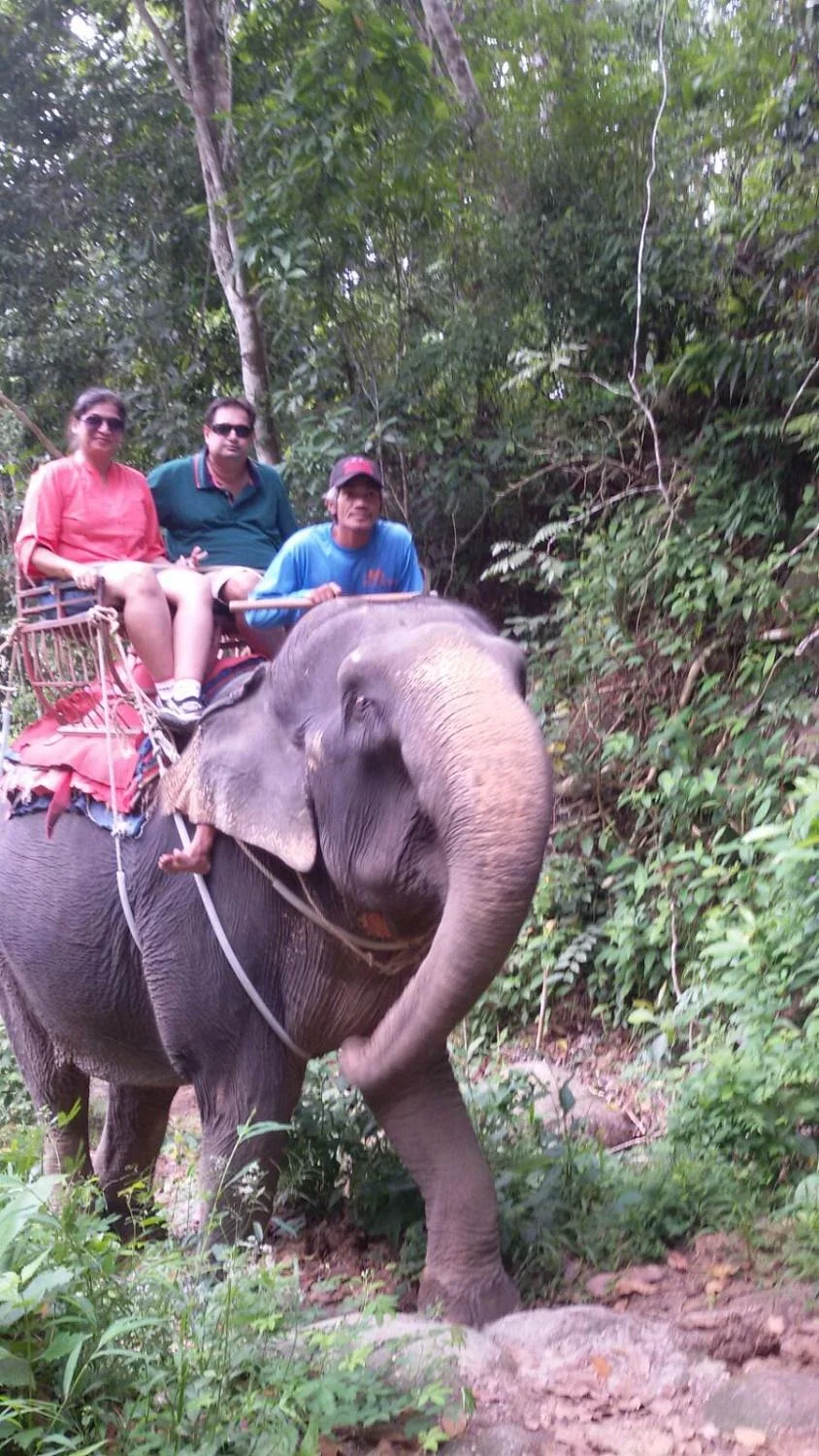 Ton Pariwat Wildlife Sanctuary