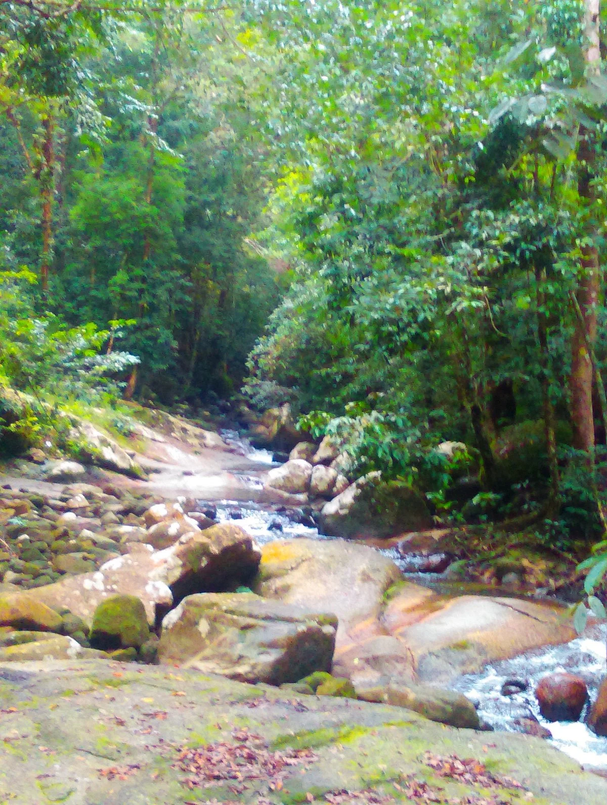 Darulaman Sanctuary