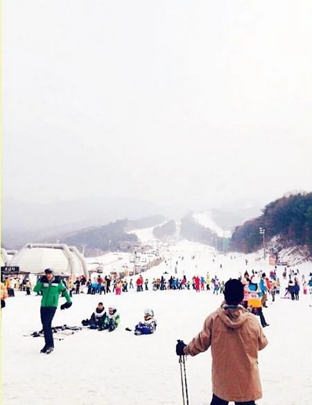 Bears Town Resort