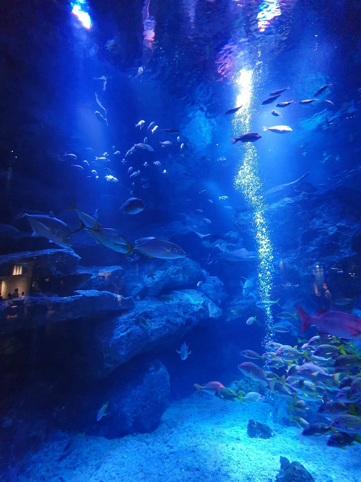 Sumida Aquarium