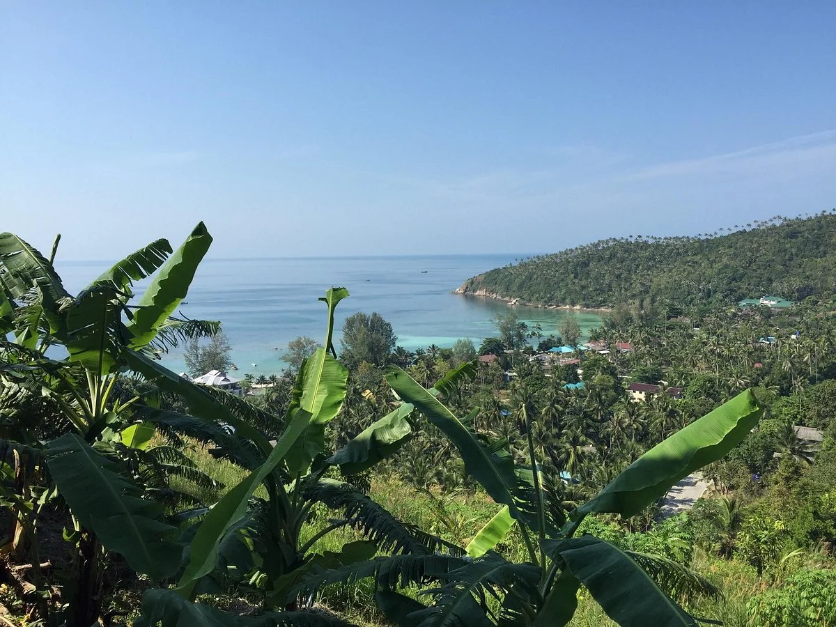 Salad Beach