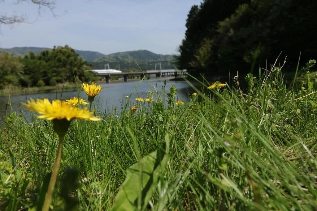 Tsuzuraike Park
